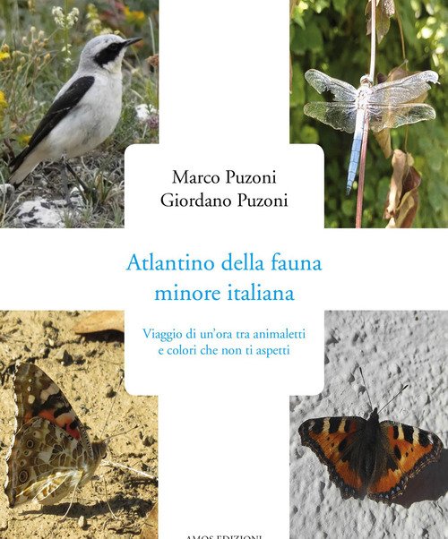 Atlantino della fauna minore italiana