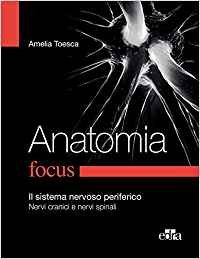 Anatomia Focus. Il sistema nervoso periferico Nervi cranici e Nervi Spinali