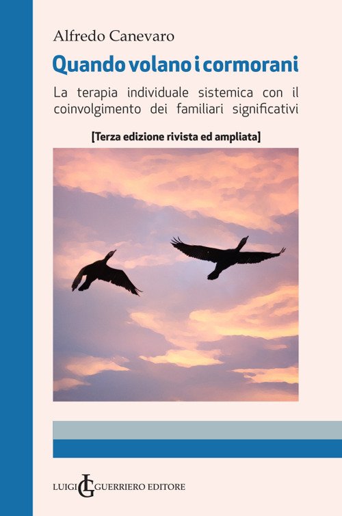 Quando volano i cormorani. Terapia individuale sistemica con il coinvolgimento dei familiari significativi