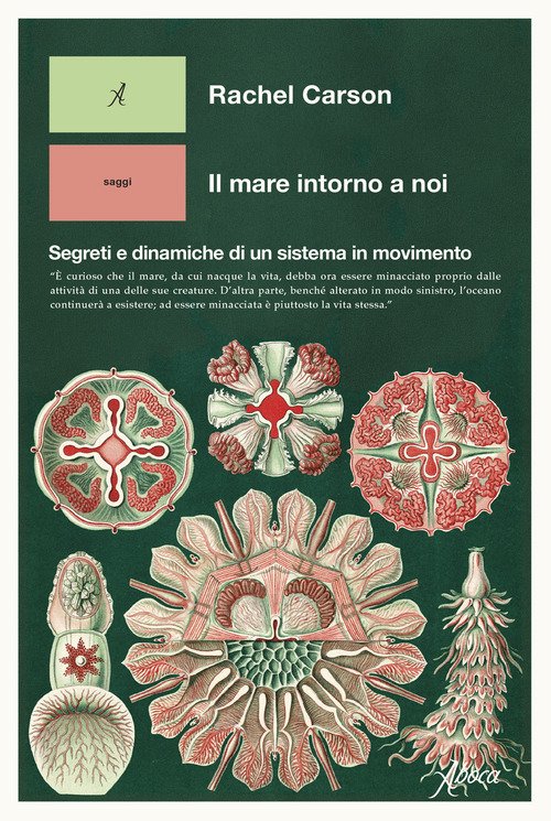 Il mare intorno a noi. Segreti e dinamiche di un sistema in movimento