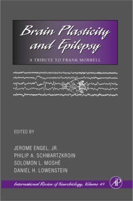 Brain Plasticity and Epilepsy