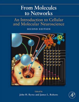From Molecules to Networks