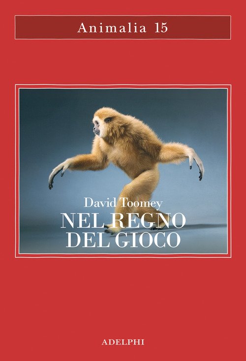 Nel regno del gioco. Quello che ci rivelano sulla vita i polpi che giocano a palla, le scimmie che si lanciano dagli alberi, gli elefanti che fanno lo scivolo nel fango