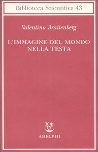L'immagine del mondo nella testa
