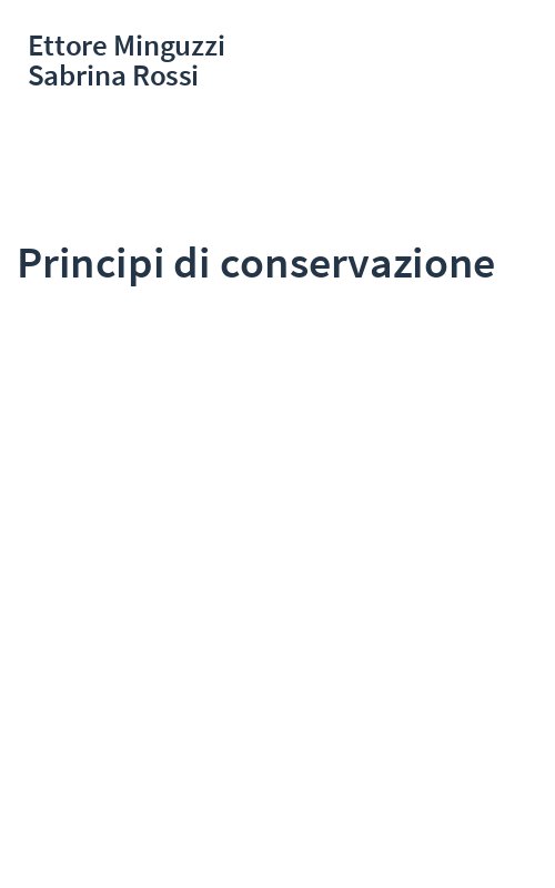Principi di conservazione