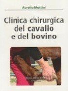 Clinica chirurgica del cavallo e del bovino