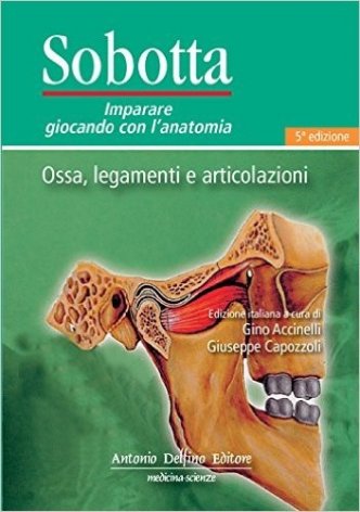 Sobotta. Giocando con l'anatomia. Ossa, legamenti e articolazioni