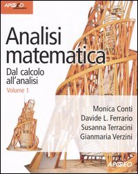 Analisi matematica. Dal calcolo all'analisi