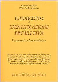 Il concetto di identificazione proiettiva. La sua nascita e la sua evoluzione