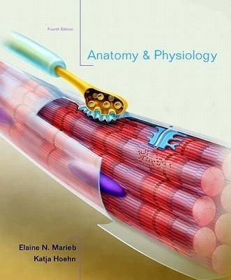 Anatomy and Physiology with Interactive Physiology 10-System Suite