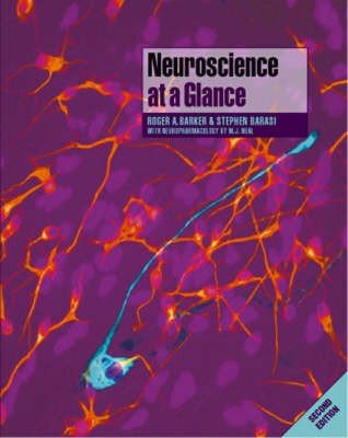 Neuroscience at a Glance