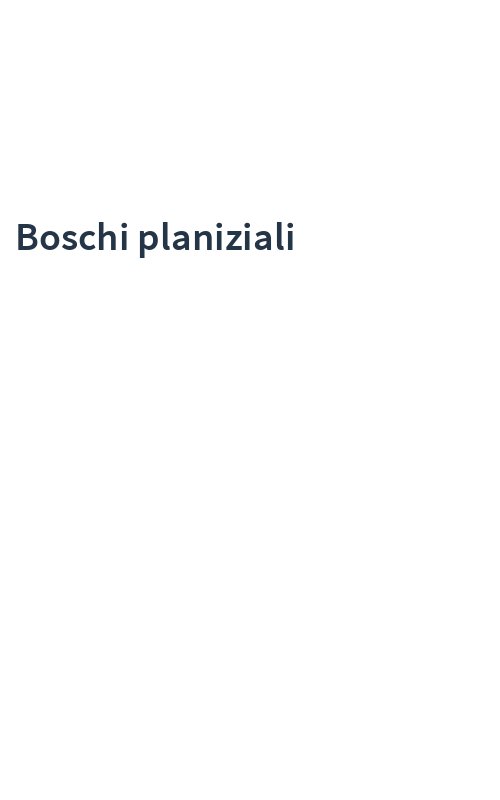 Boschi planiziali