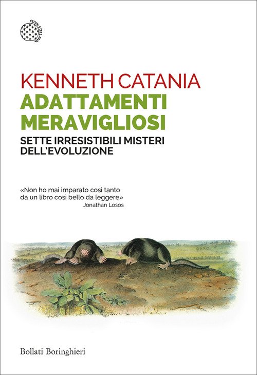 Adattamenti meravigliosi. Sette irresistibili misteri dell'evoluzione