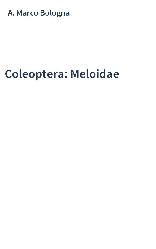Coleoptera: Meloidae