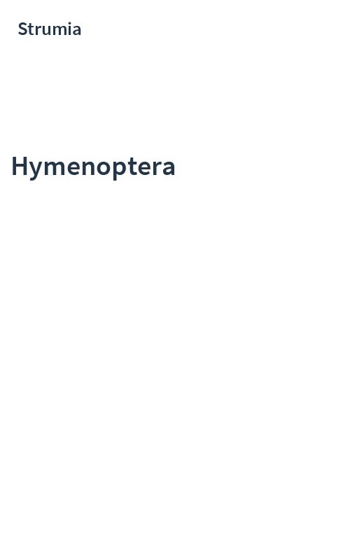 Hymenoptera