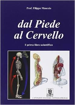 Dal piede al cervello