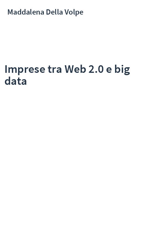 Imprese tra Web 2.0 e big data