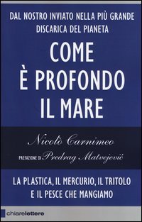 Come è profondo il mare. La plastica, il mercurio, il tritolo e il pesce che mangiamo