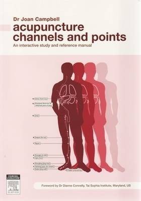Acupuncture Channels and Points