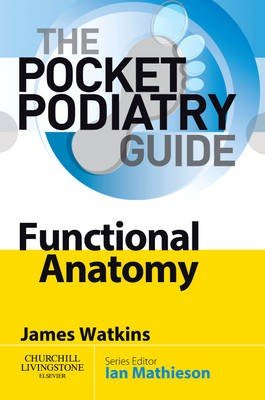 Functional Anatomy