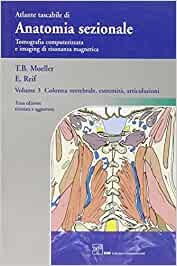 Anatomia sezionale