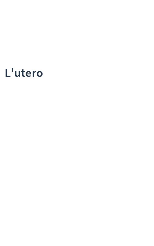 L'utero