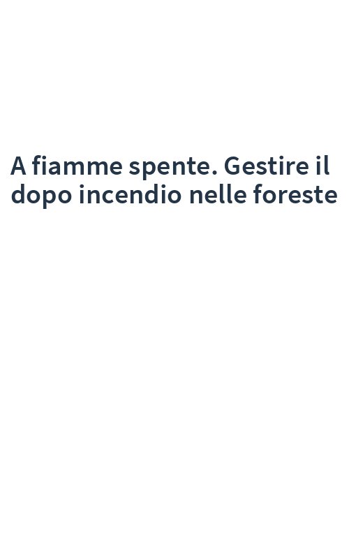 A fiamme spente. Gestire il dopo incendio nelle foreste