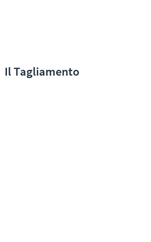 Il Tagliamento