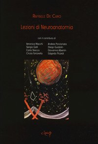 Lezioni di neuroanatomia