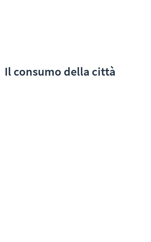 Il consumo della città