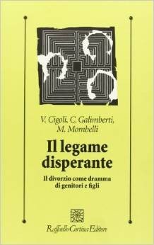 Il legame disperante. Il divorzio come dramma di genitori e figli