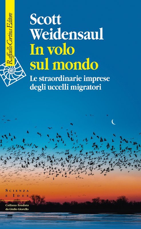 In volo sul mondo. Le straordinarie imprese degli uccelli migratori