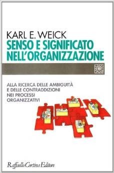 Senso e significato nell'organizzazione. Alla ricerca delle ambiguità e delle contraddizioni nei processi organizzativi