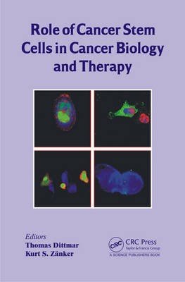 Role of Cancer Stem Cells in Cancer Biology and Therapy