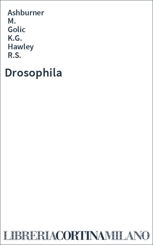 Drosophila
