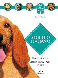 Segugio italiano