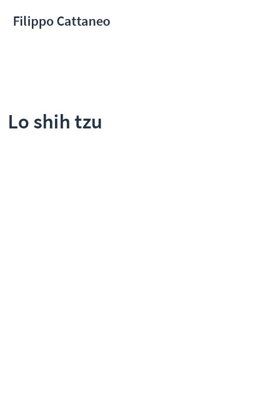 Lo shih tzu
