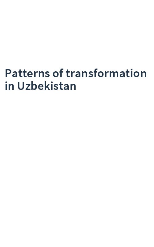 Patterns of transformation in Uzbekistan