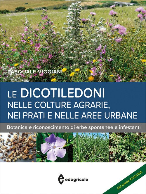 Le dicotiledoni nelle colture agrarie, nei prati e nelle aree urbane. Botanica e riconoscimento di erbe spontanee e infestanti