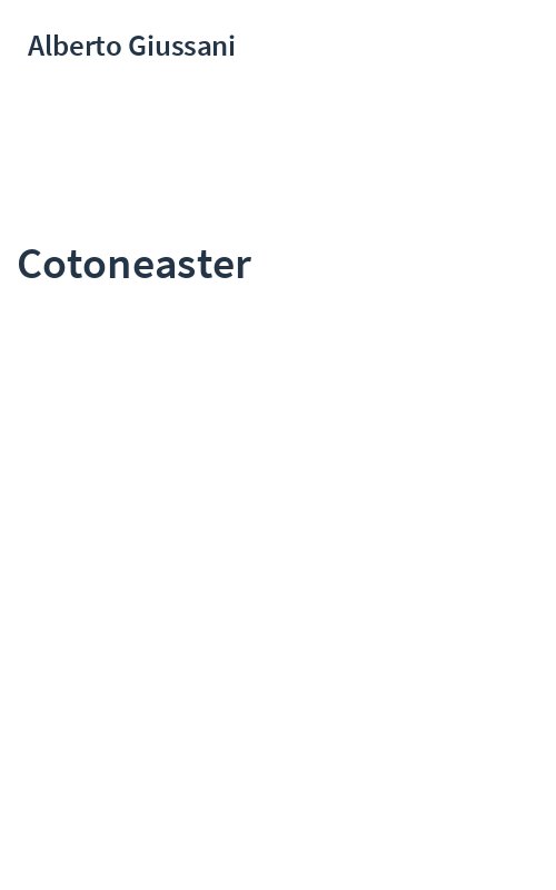 Cotoneaster