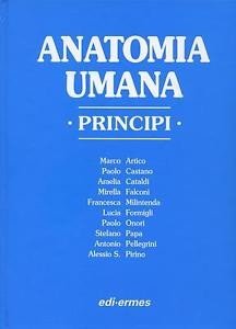 Anatomia umana. Principi