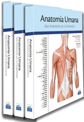 Anatomia umana. Cofanetto in 3 volumi basato sul Prometheus