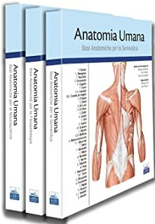 Anatomia umana. Vol. 1: Apparato locomotore e sistema cardiovascolare.