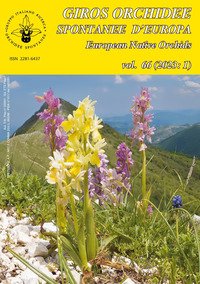 Giros. Orchidee spontanee d'Europa