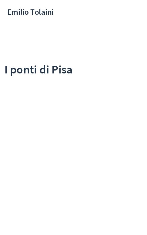 I ponti di Pisa