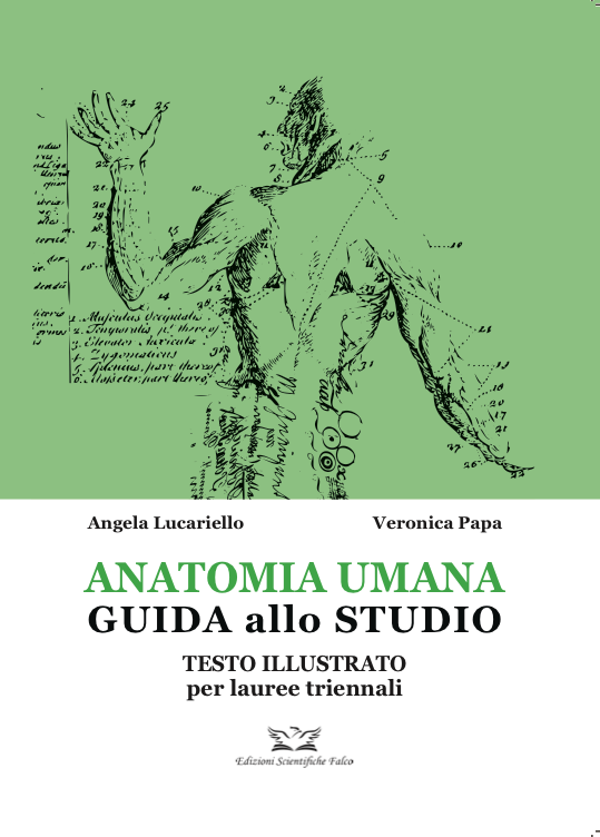 Anatomia umana. Guida allo studio. Testo illustrato per lauree