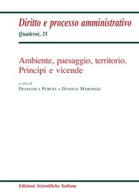 Ambiente, paesaggio, territorio. Principi e vicende
