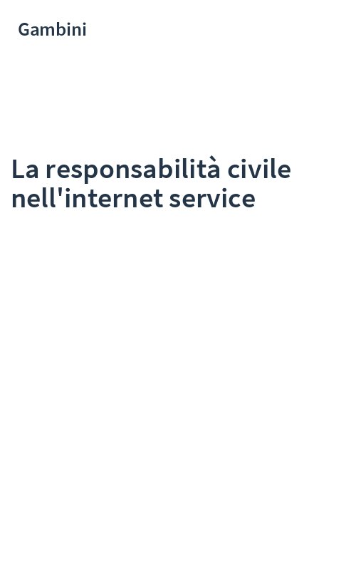 La responsabilità civile nell'internet service