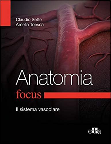 Anatomia Focus. Il sistema vascolare