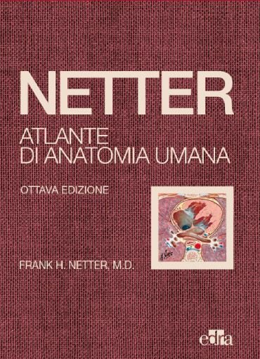 Netter. Atlante di anatomia umana
